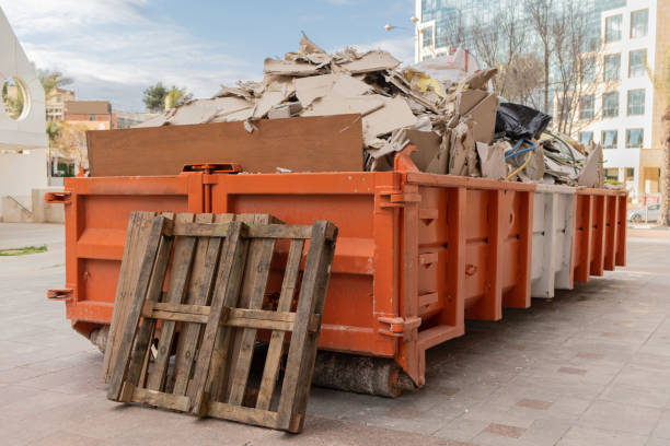 Best Professional Junk Removal  in Chapin, SC